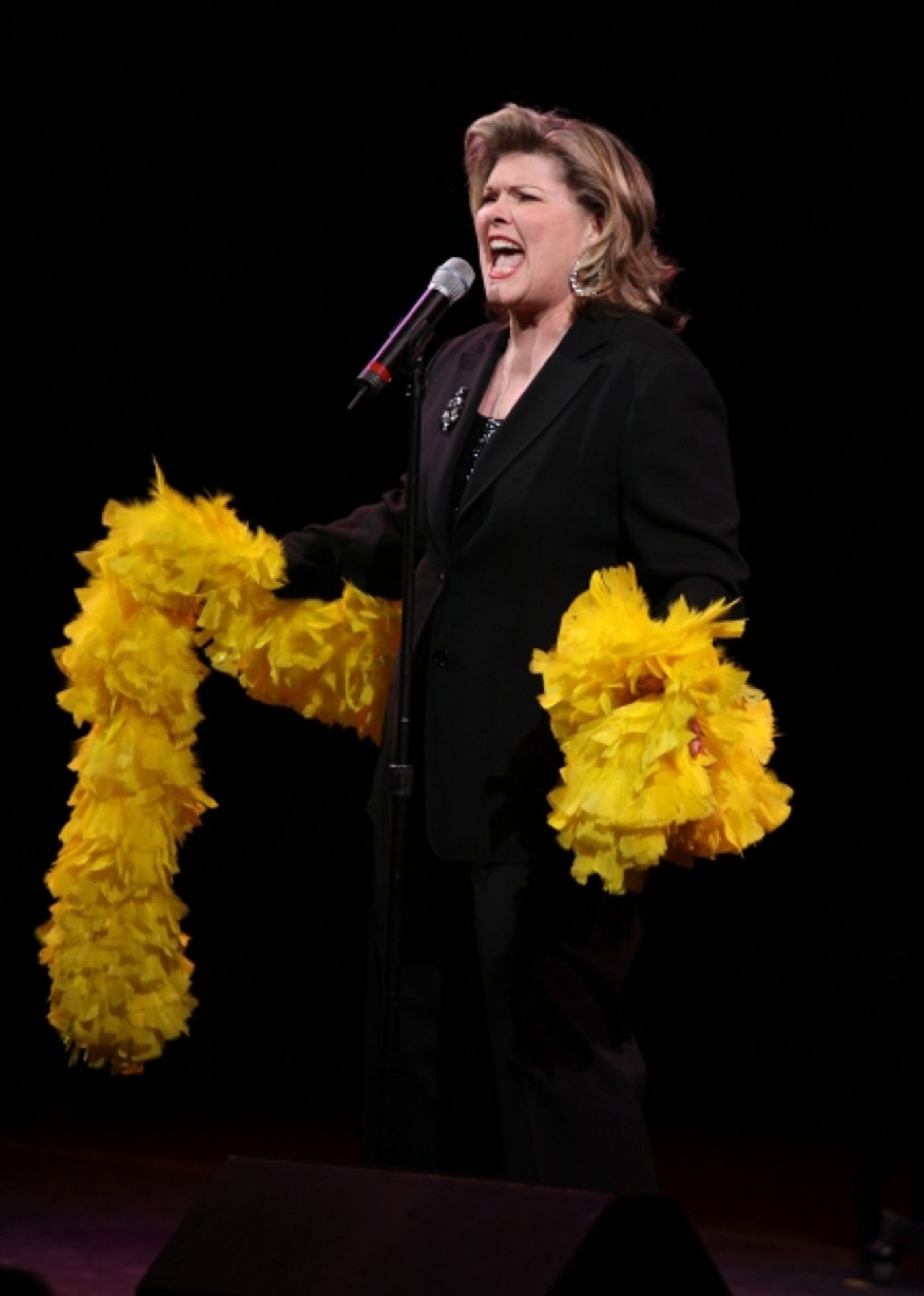 Photo Coverage: Vineyard, Chenoweth, Minnelli, Rivera & More Honor Kander & Ebb - Part 2  Image