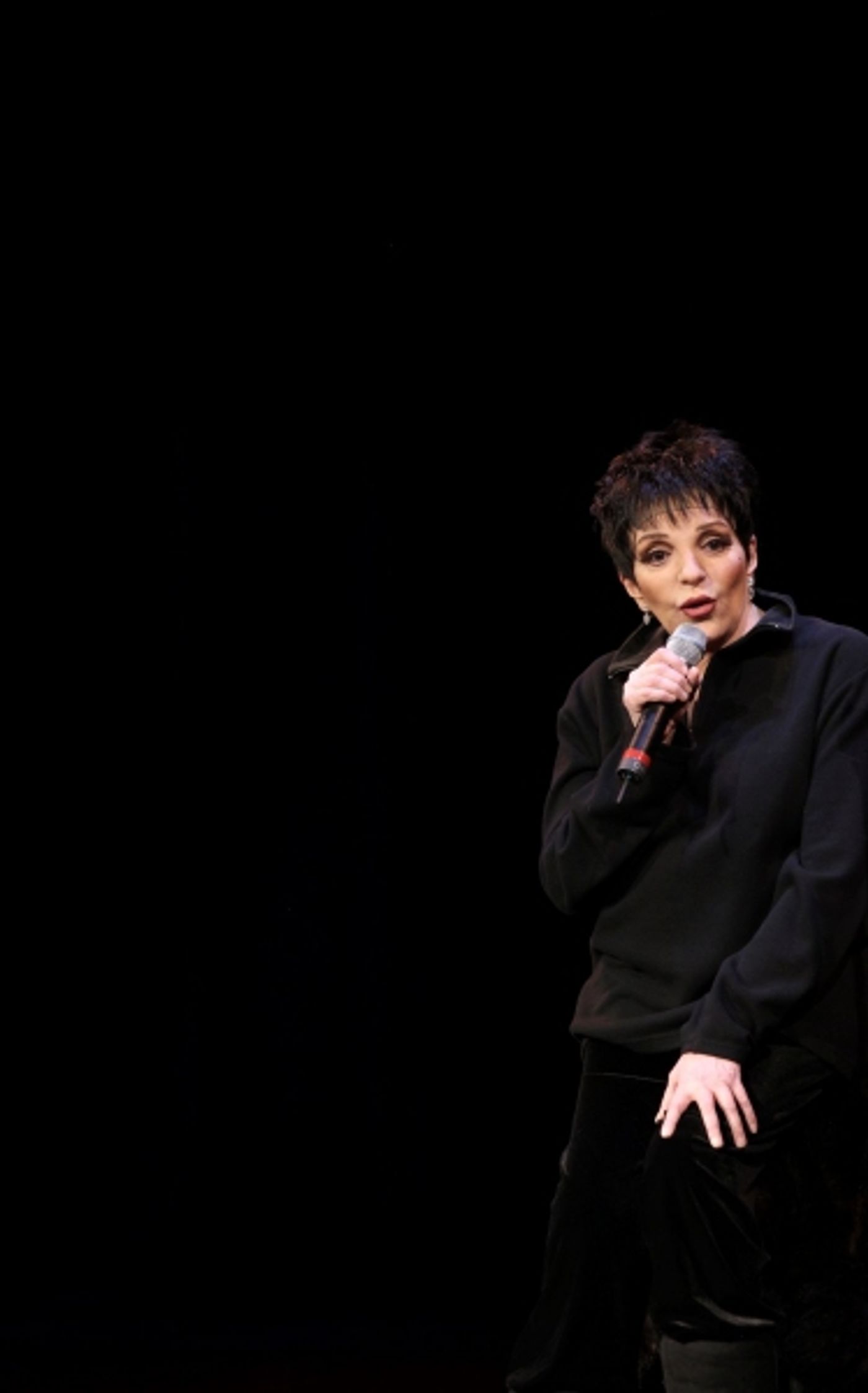 Photos: Vineyard, Minnelli, Rivera, Chenoweth et al. Honor Kander - Part 1  Image