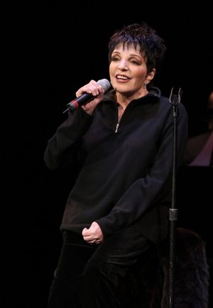 Liza Minnelli @ BroadwayWorld Liza Minnelli Photo