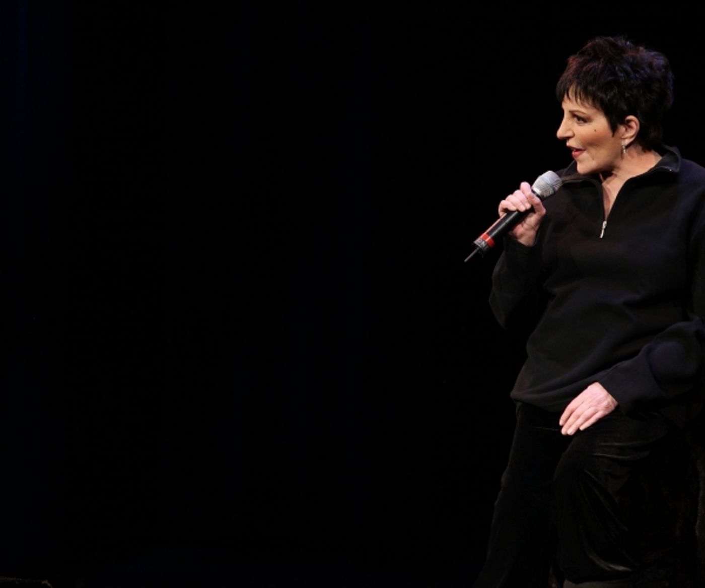 Photos: Vineyard, Minnelli, Rivera, Chenoweth et al. Honor Kander - Part 1  Image