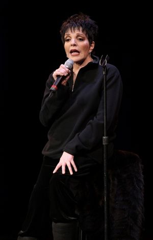 Liza Minnelli @ BroadwayWorld Liza Minnelli Photo