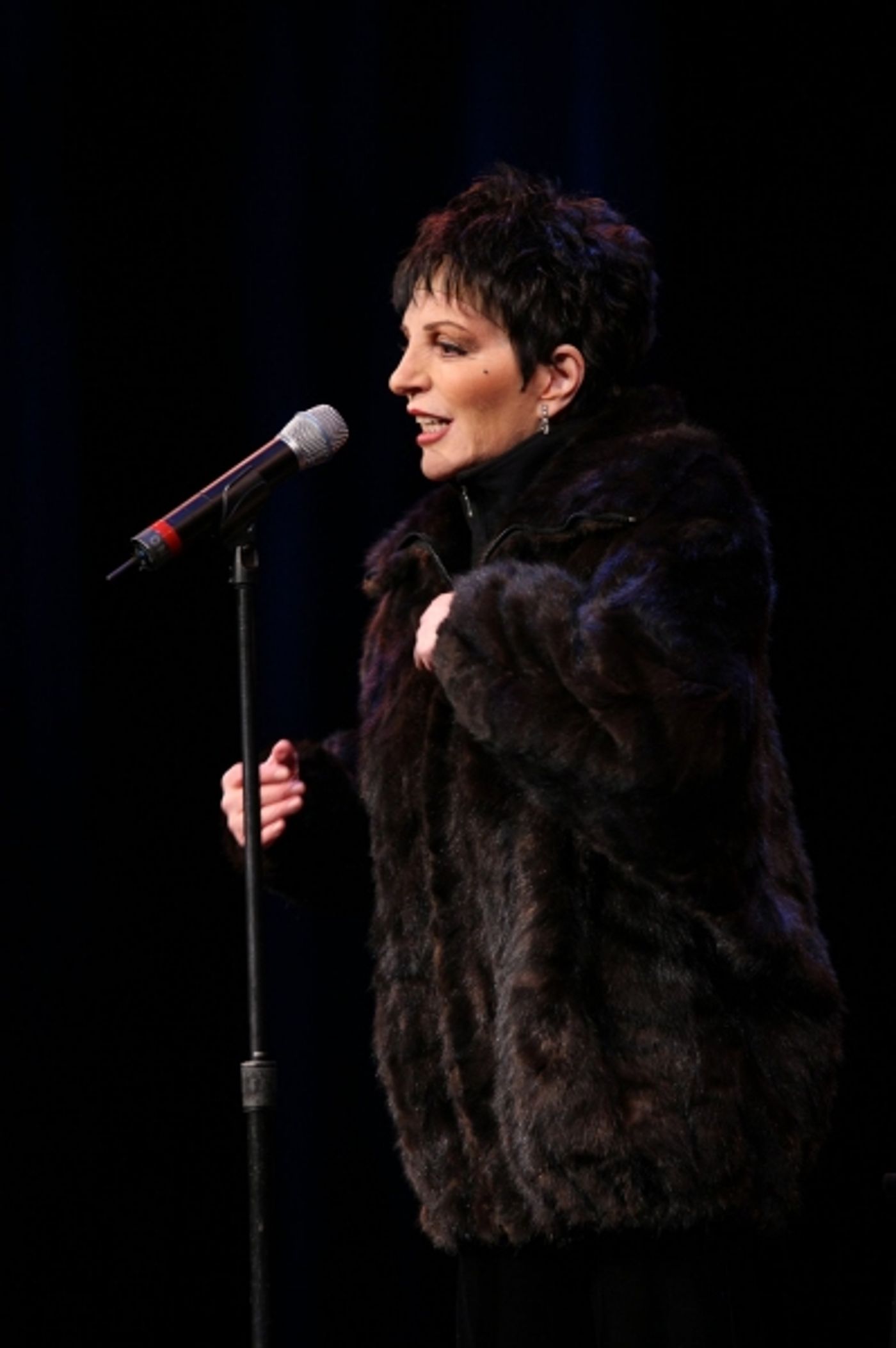 Photos: Vineyard, Minnelli, Rivera, Chenoweth et al. Honor Kander - Part 1  Image