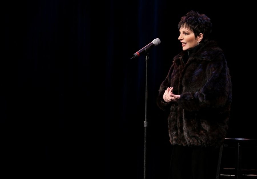 Photos: Vineyard, Minnelli, Rivera, Chenoweth et al. Honor Kander - Part 1 Image