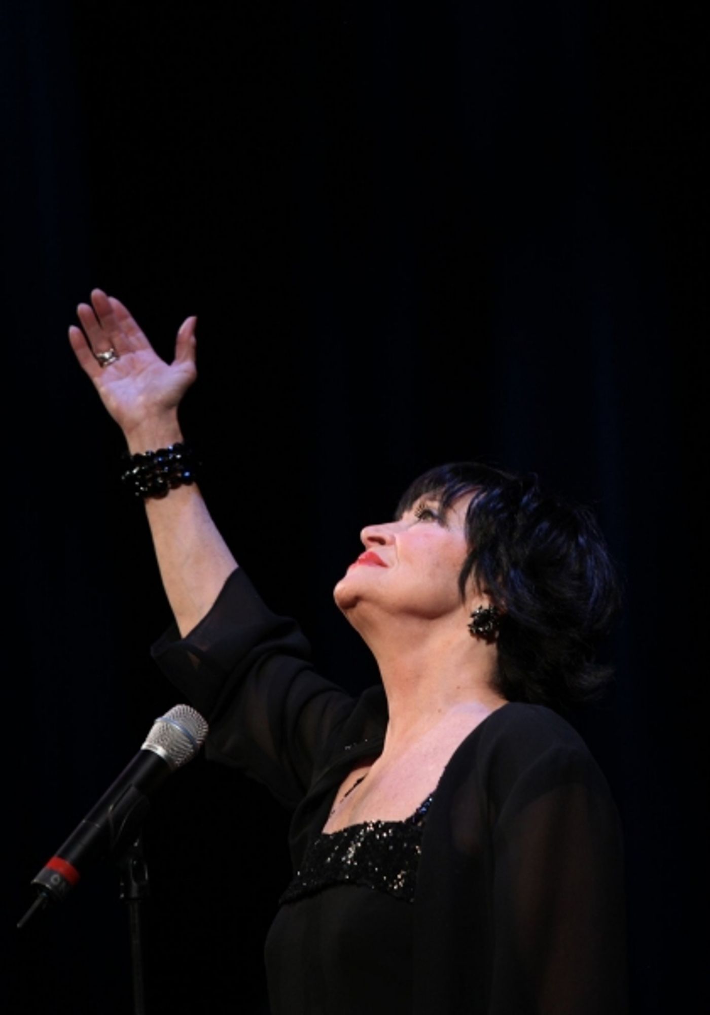 Photos: Vineyard, Minnelli, Rivera, Chenoweth et al. Honor Kander - Part 1  Image