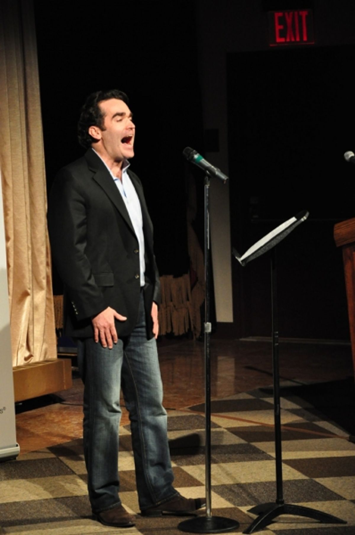 Brian d'Arcy James at 