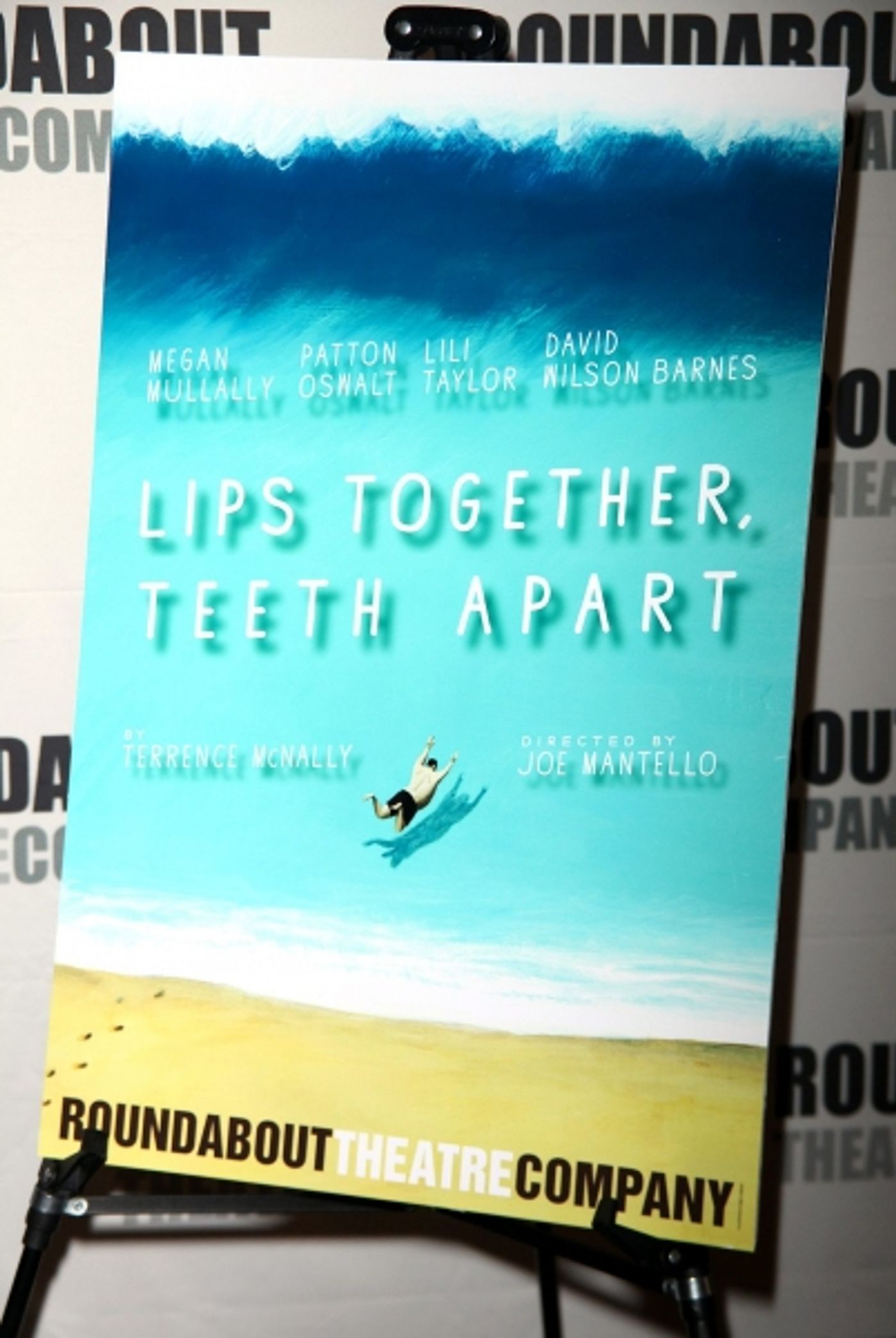 Photo Coverage: MEET & GREET: LIPS TOGETHER, TEETH APART  Image