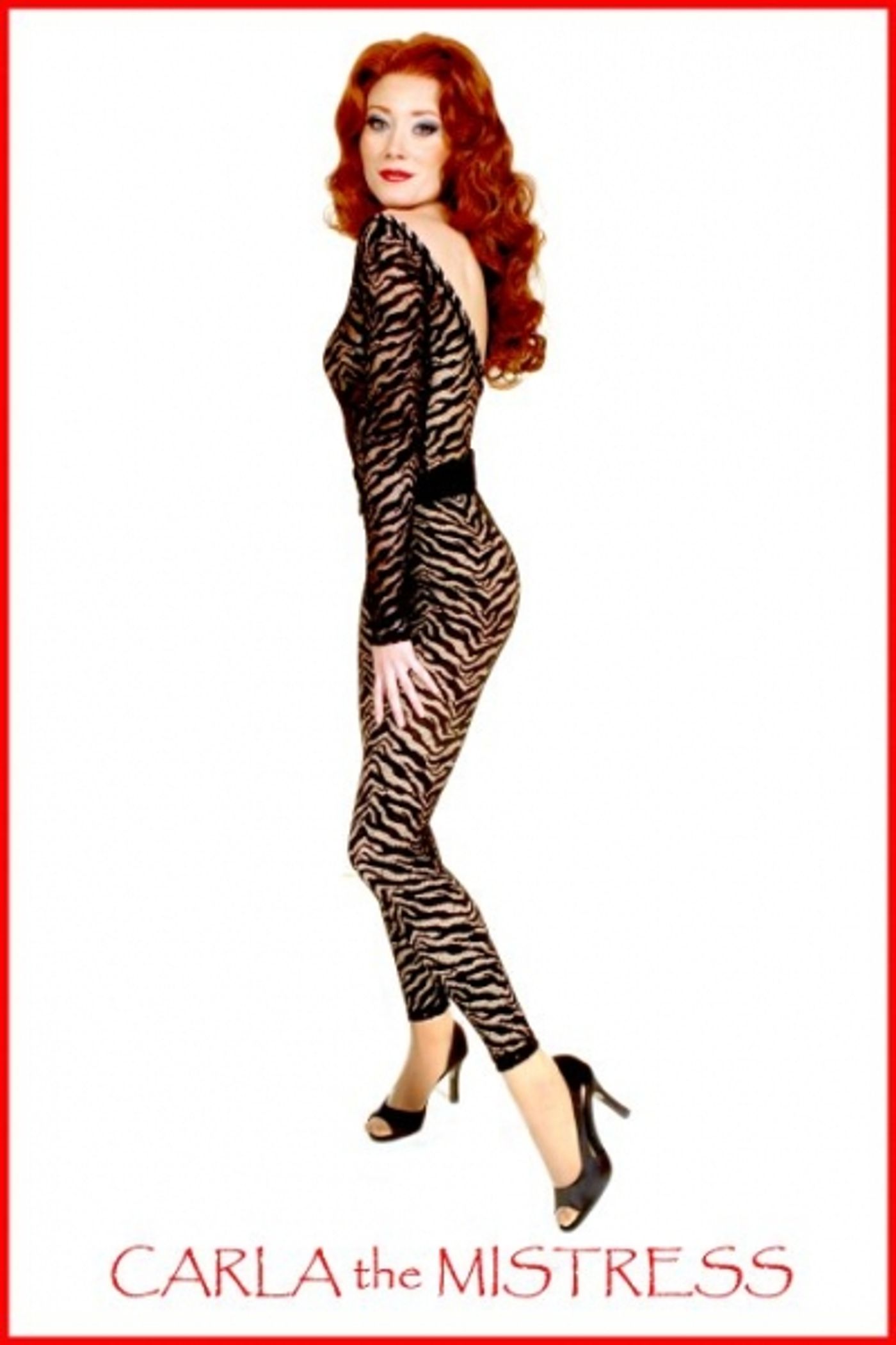 Photo Flash: Westchester Broadway Theatre Presents NINE  Image