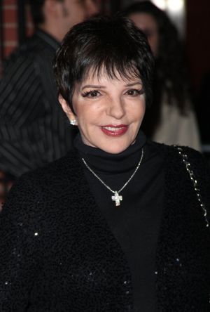 Liza Minnelli Photo