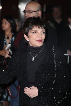 Liza Minnelli Photo