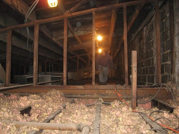 Bruce Coates explores the attic Photo