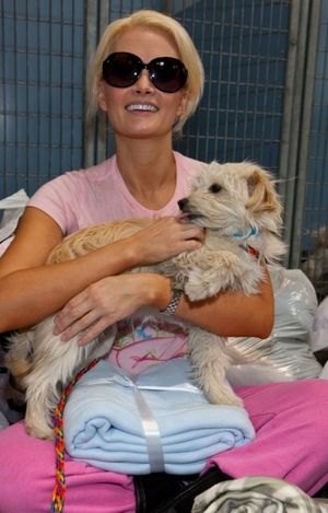 Holly Madison @ BroadwayWorld Holly Madison Photo