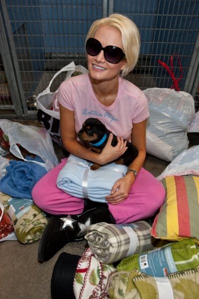 Holly Madison Photo