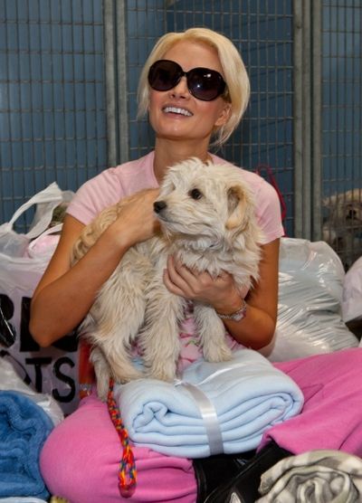 Holly Madison Photo