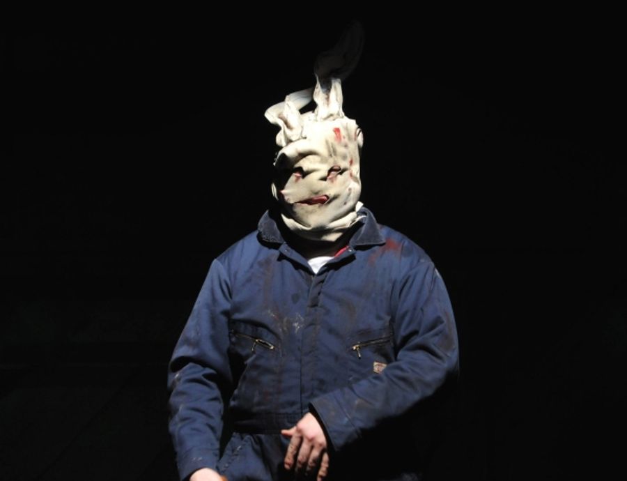 Photo Flash: HERE Arts Center Presents ALICE IN SLASHERLAND Image