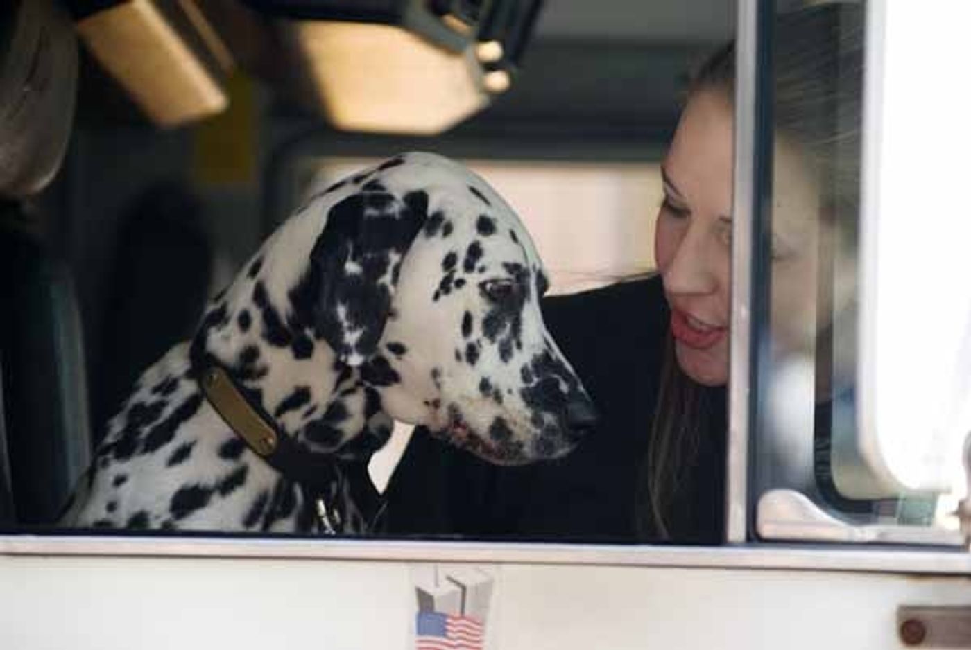 Photo Coverage: 101 DALMATIONS Arrives in New York City  Image