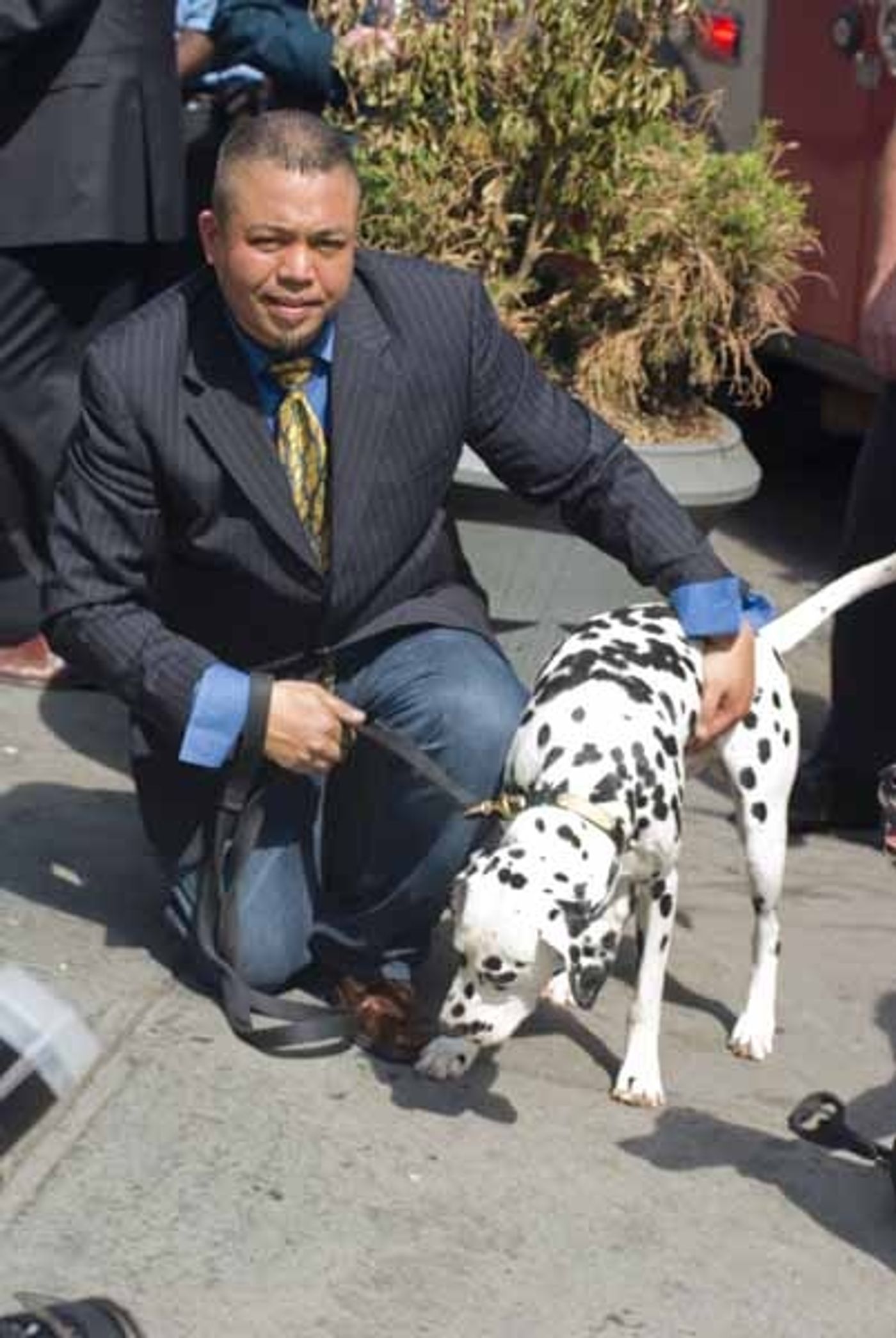 Photo Coverage: 101 DALMATIONS Arrives in New York City  Image