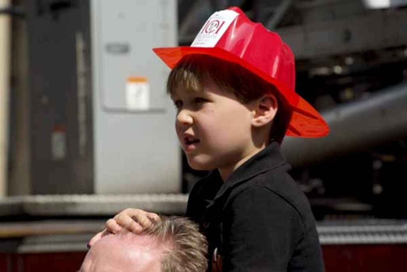 Photo Coverage: 101 DALMATIONS Arrives in New York City  Image