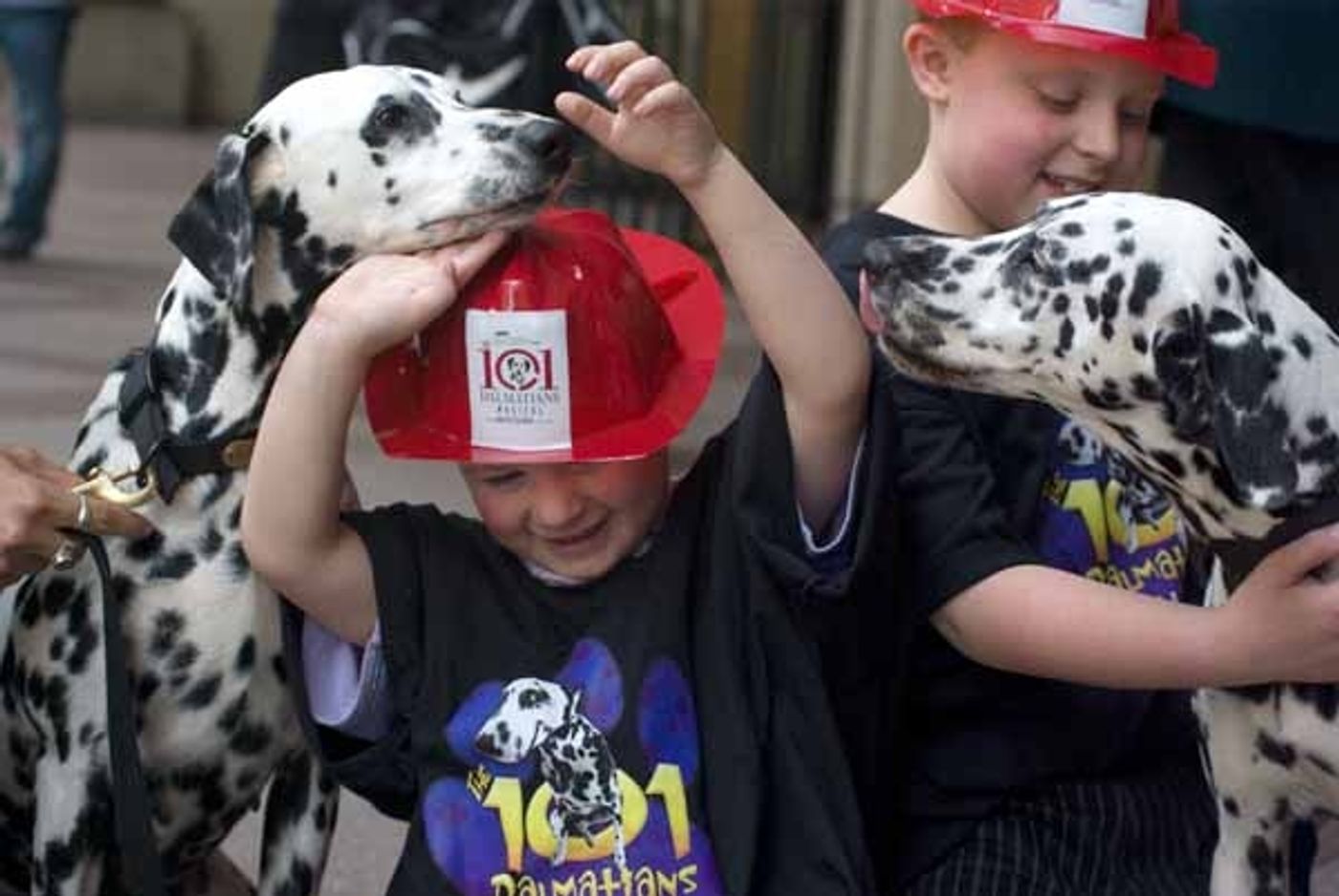 Photo Coverage: 101 DALMATIONS Arrives in New York City  Image