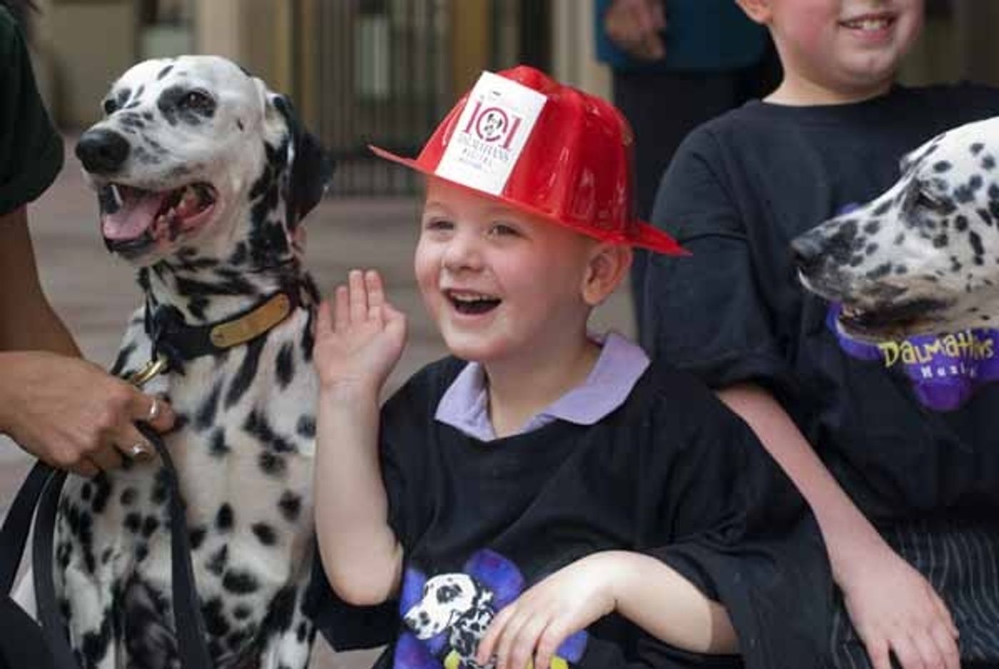 Photo Coverage: 101 DALMATIONS Arrives in New York City  Image