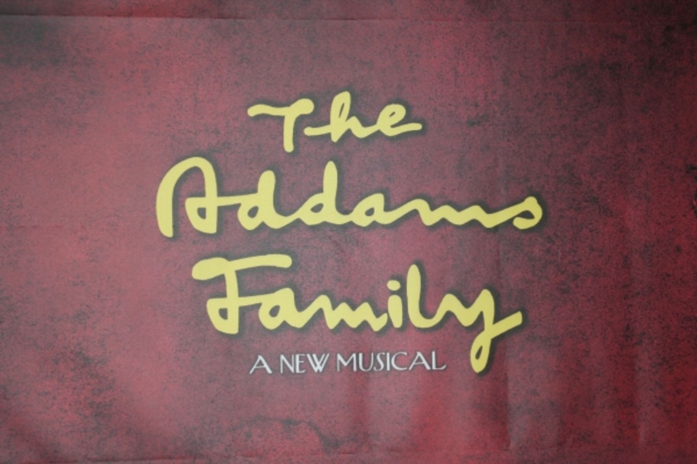 Photo Coverage: THE ADDAMS FAMILY - Opening Night Party  Image