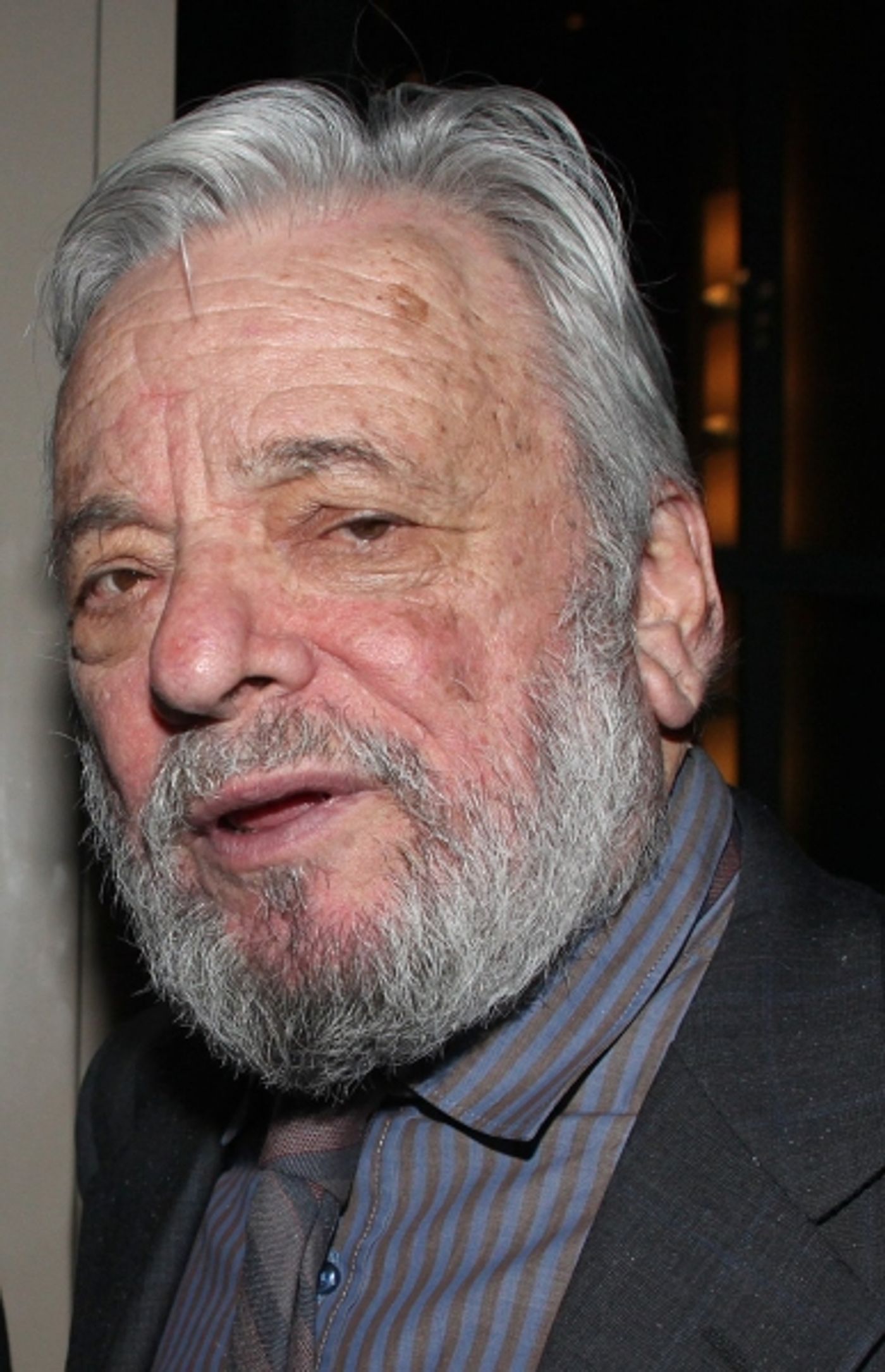Photo Coverage: Stephen Sondheim Awards Gala Reception  Image