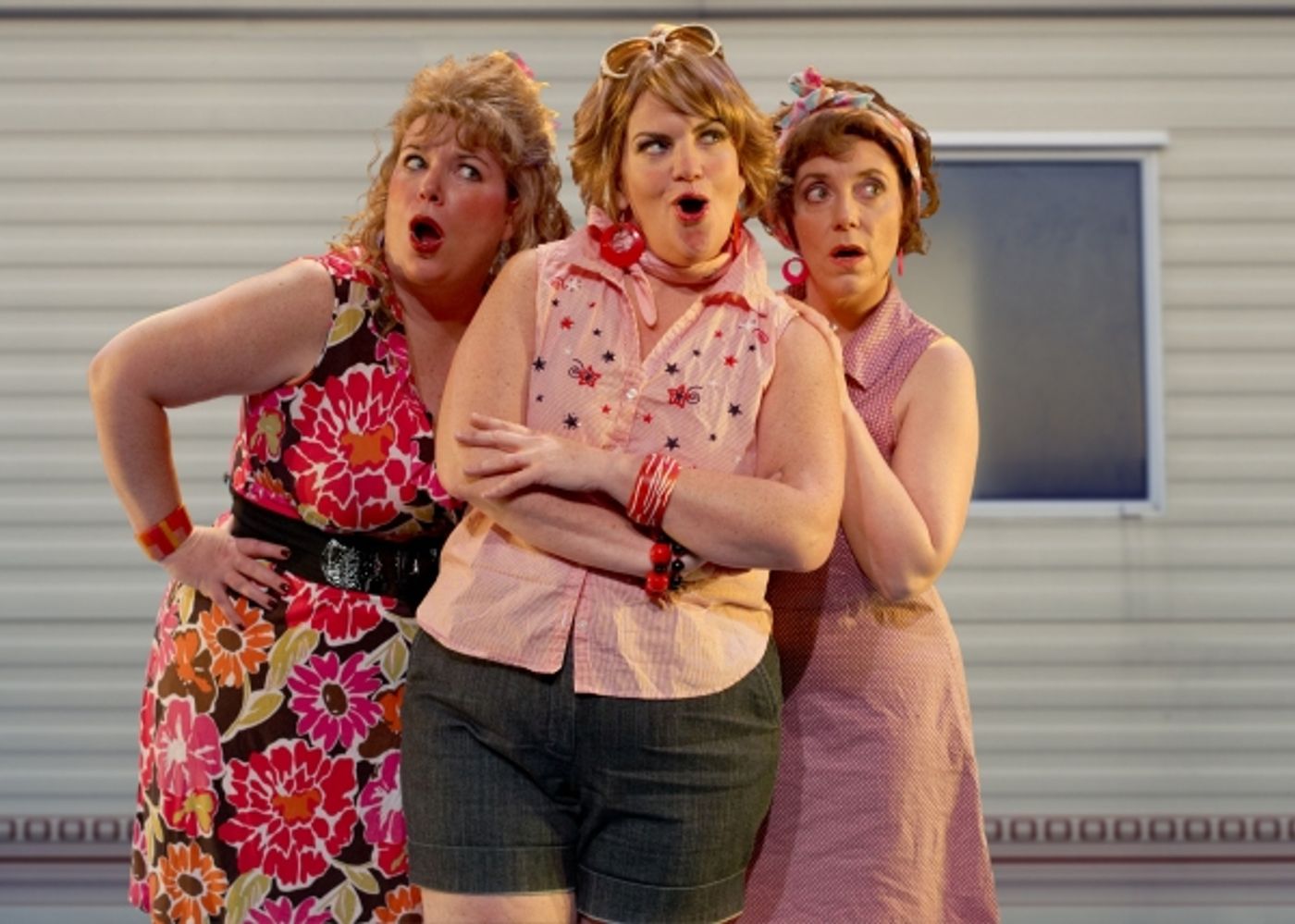 Photo Flash: SpeakEasy Stage Co's THE GREAT AMERICAN TRAILER PARK MUSICAL Photo Flash: SpeakEasy Stage Co's THE GREAT AMERICAN TRAILER PARK MUSICAL Image