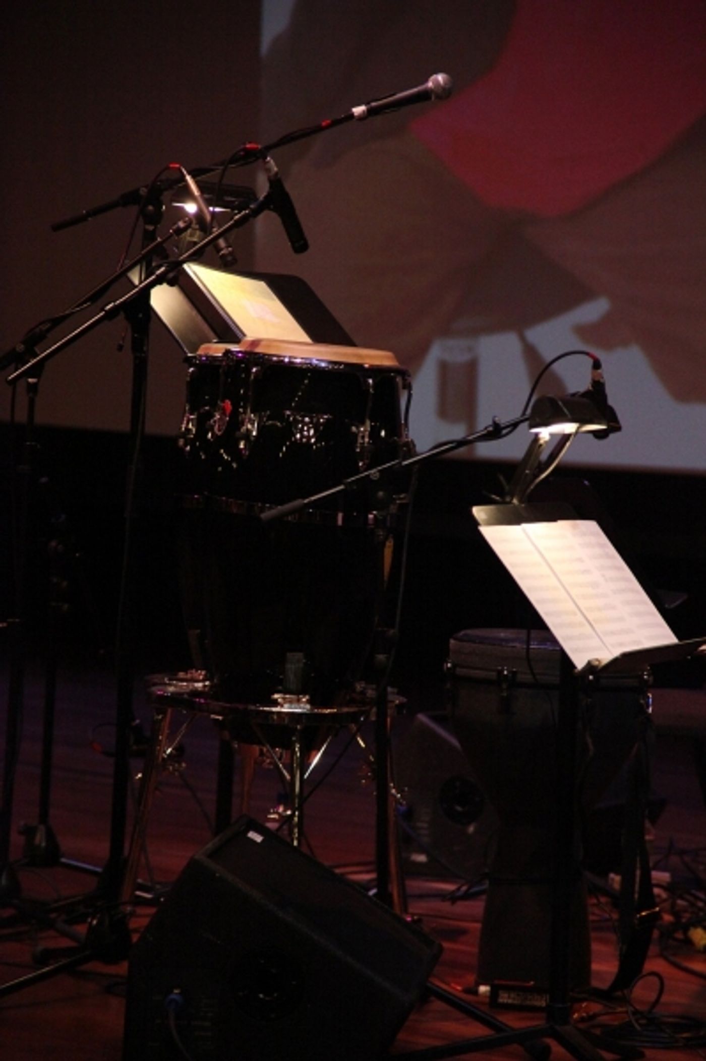 Photo Coverage: Our Time Gala - Performances Photo Coverage: Our Time Gala - Performances Image