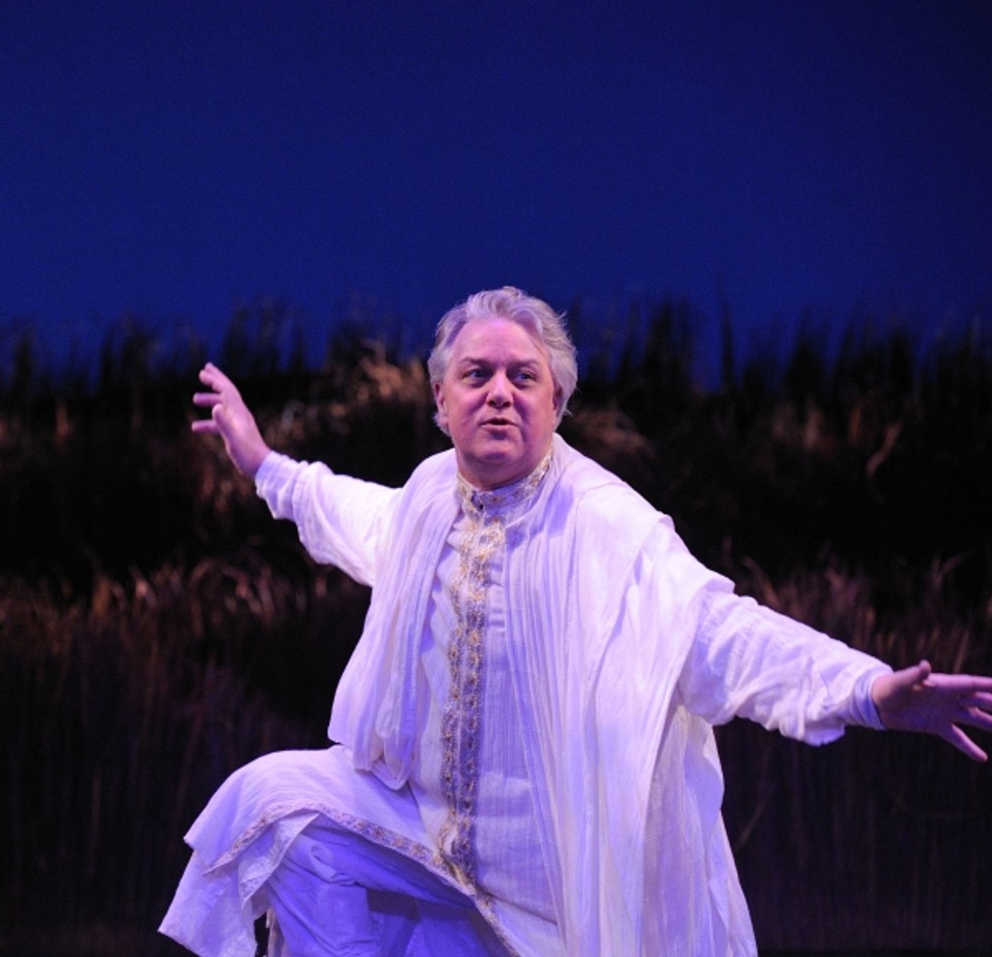 Photo Flash: InterAct Presents A MIDSUMMER NIGHT'S DREAM  Image