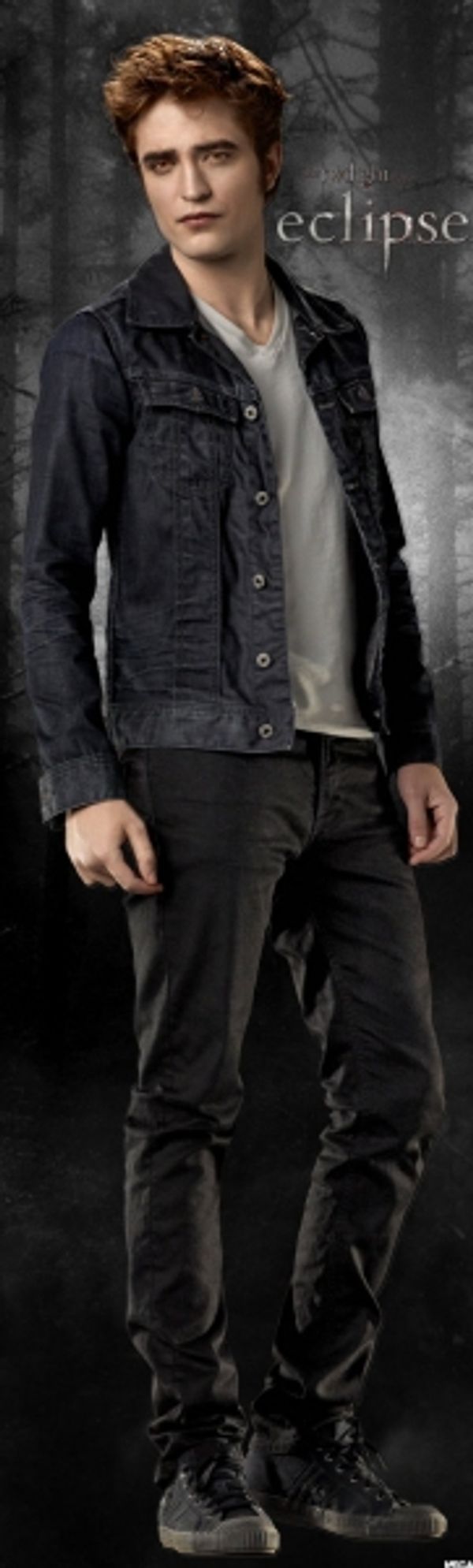 Robert Pattinson Photo