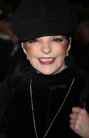 Liza Minnelli Photo