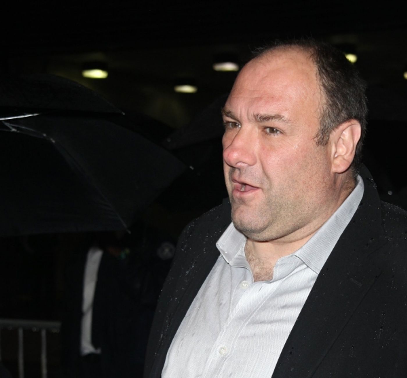 Photo Coverage: FENCES Opening Night Theatre Arrivals  Image