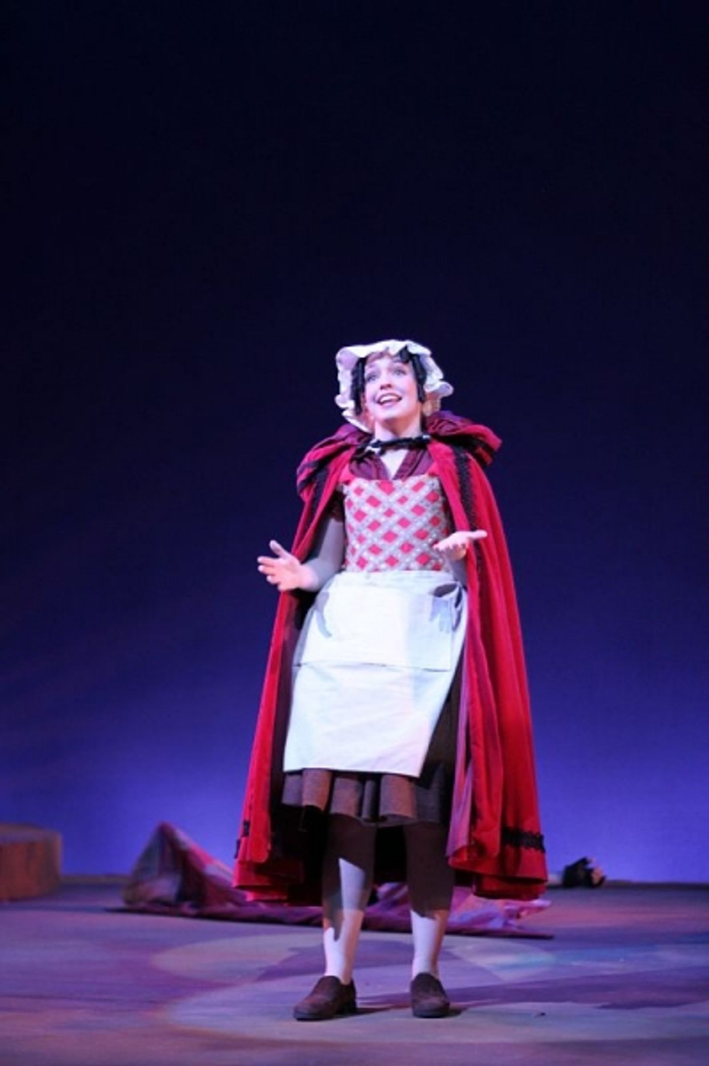 Photo Flash: Emerson College's INTO THE WOODS at the Cutler Majestic  Image