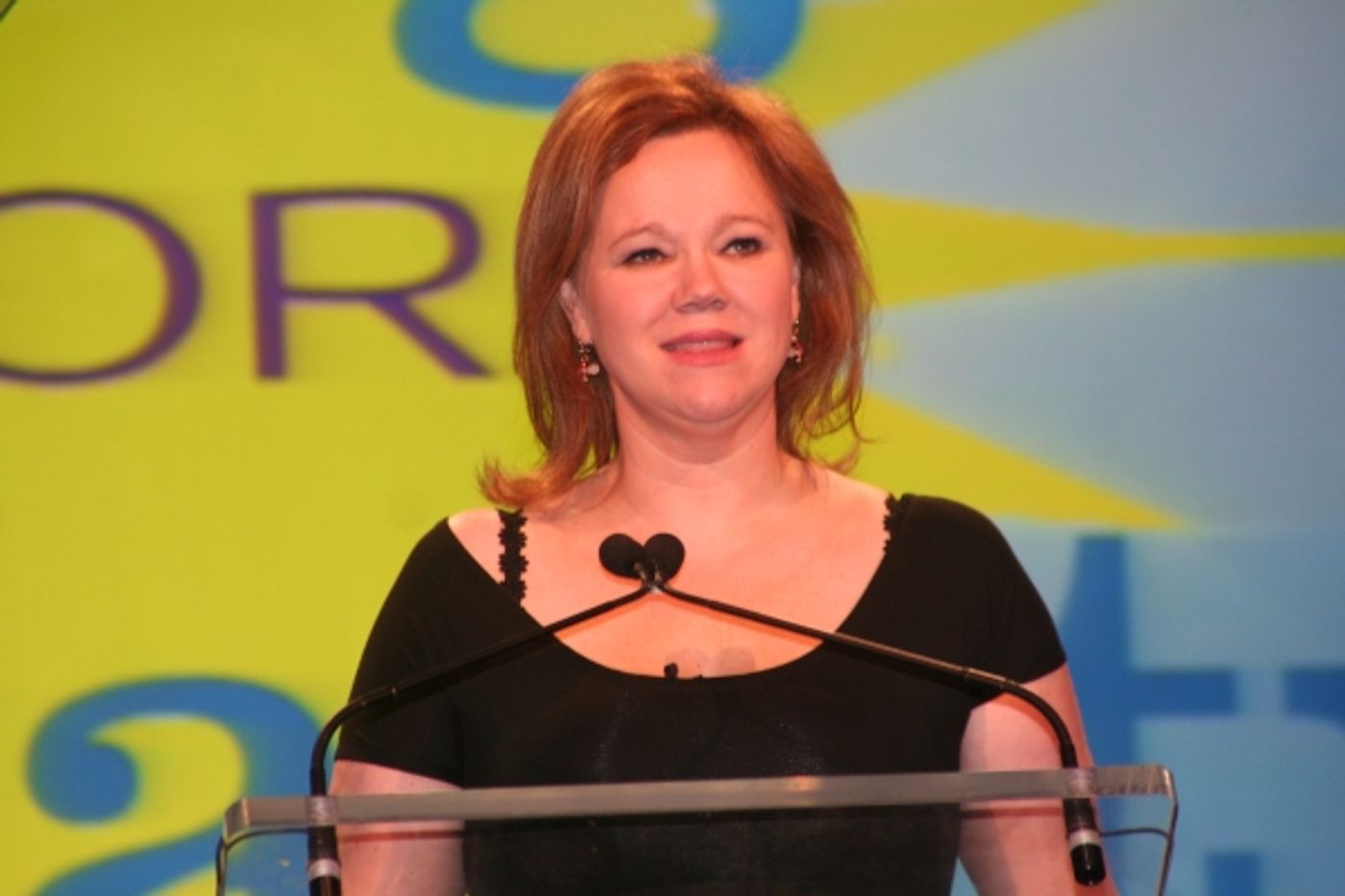 Photo Coverage: PFLAG's Straight for Equality Honors Minnelli and More  Image