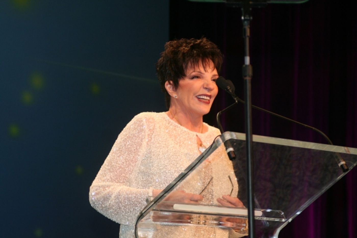 Photo Coverage: PFLAG's Straight for Equality Honors Minnelli and More  Image