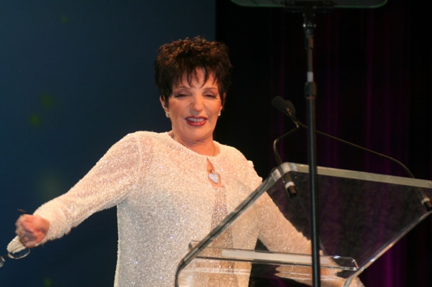 Photo Coverage: PFLAG's Straight for Equality Honors Minnelli and More  Image