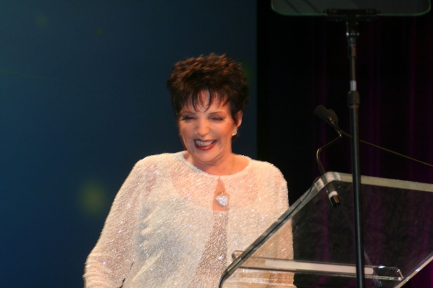 Photo Coverage: PFLAG's Straight for Equality Honors Minnelli and More  Image