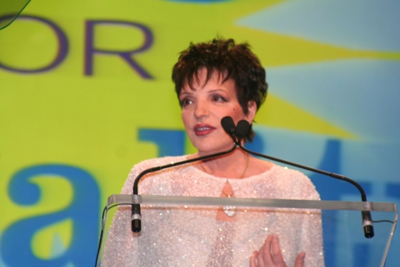Photo Coverage: PFLAG's Straight for Equality Honors Minnelli and More  Image