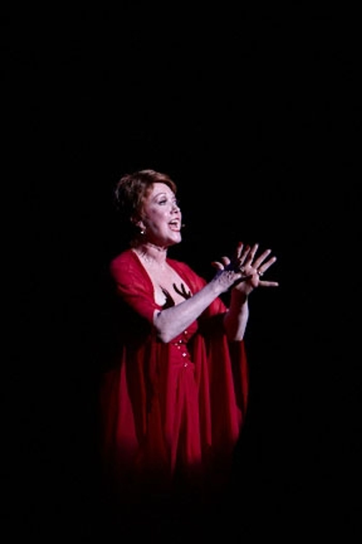 Photo Flash: 26th Annual S.T.A.G.E. Benefit  Image