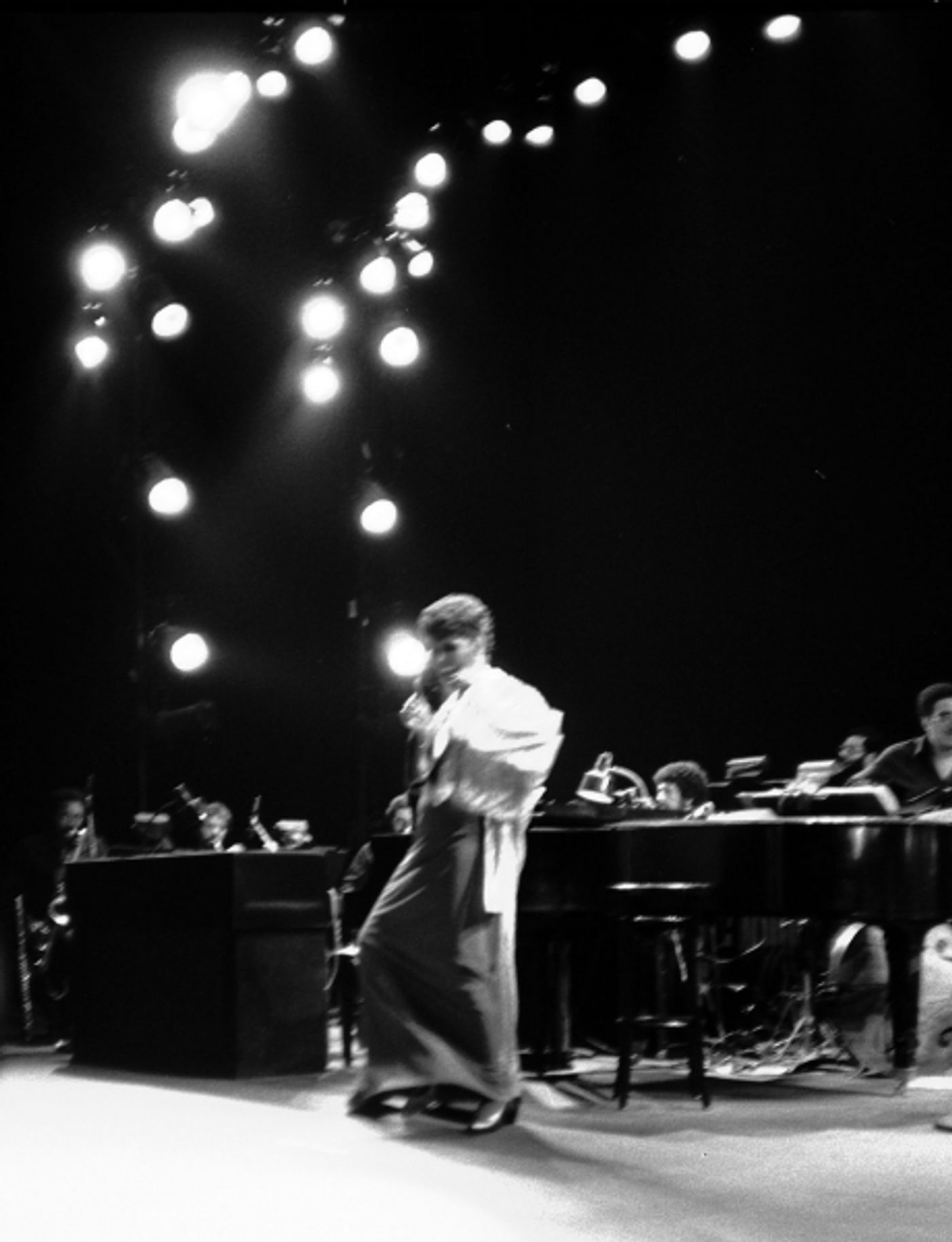 Photo Coverage: BWW Remembers Lena Horne  Image