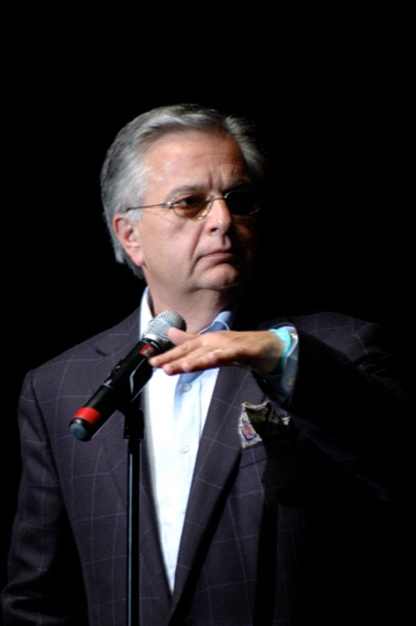 Photo Coverage: A Ray of Hope Benefit  Image