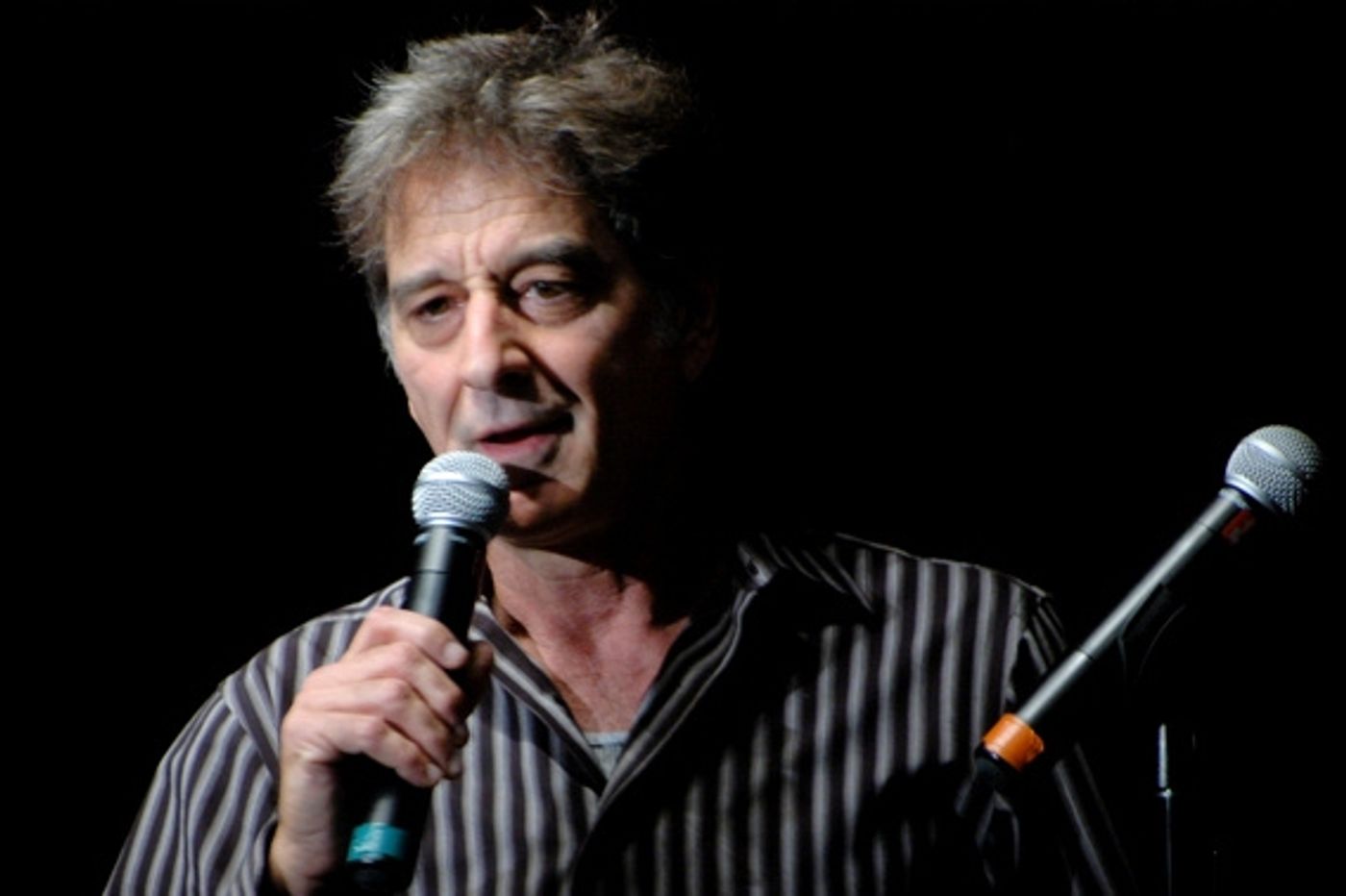 Photo Coverage: A Ray of Hope Benefit  Image