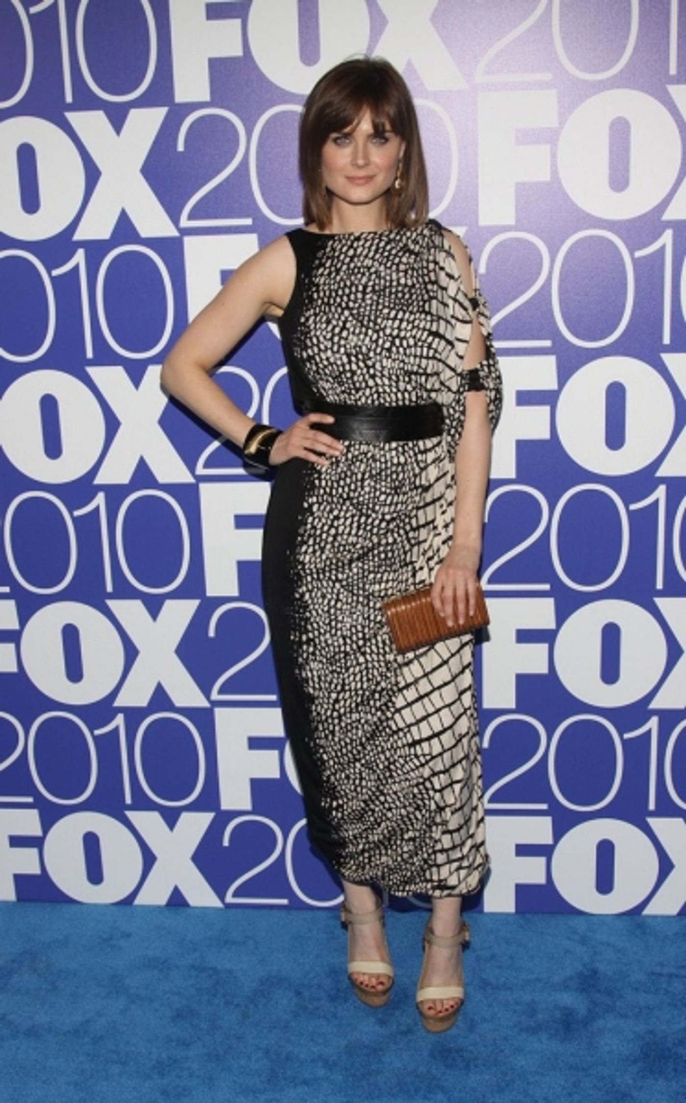 Photo Coverage: FOX '10-'11 Primetime Season Launch  Image
