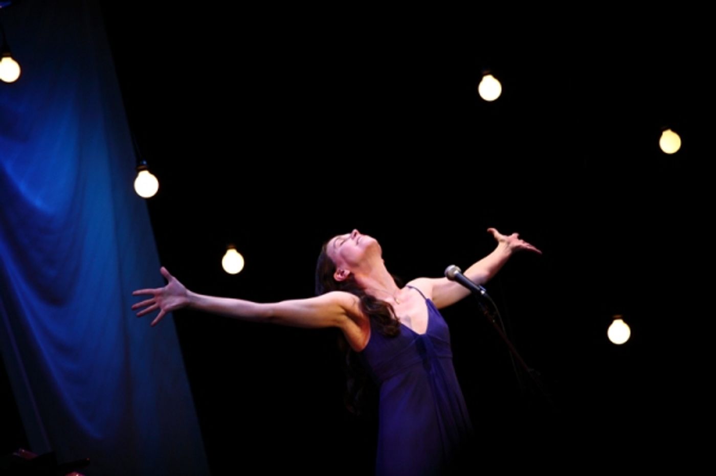 Photo Flash: Sutton Foster At The Civic Center In Des Moines  Image