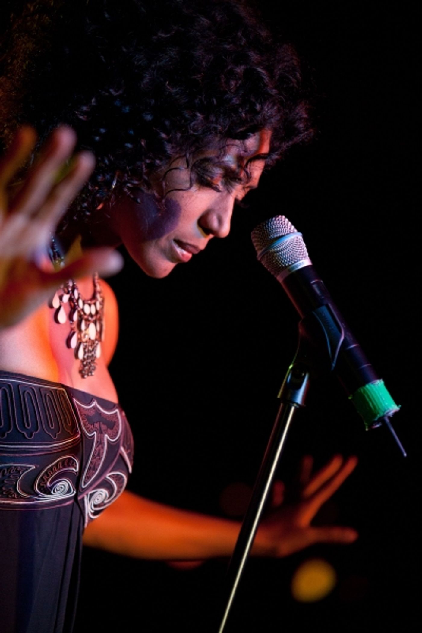 Photo Flash: Nita Whitaker at the Castle  Image