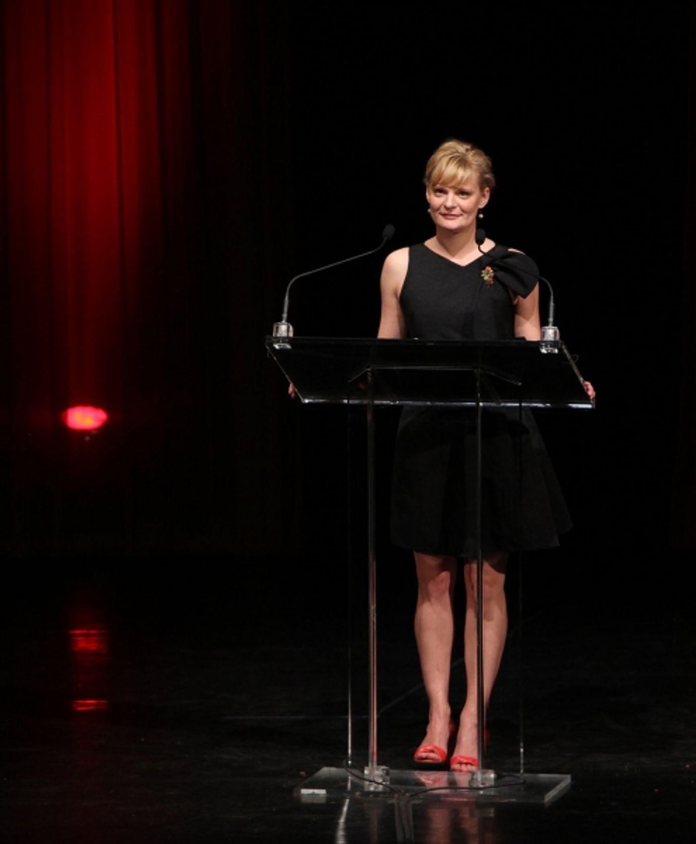 Photo Coverage: 2010 Drama Desk Awards Ceremony - Part 2  Image