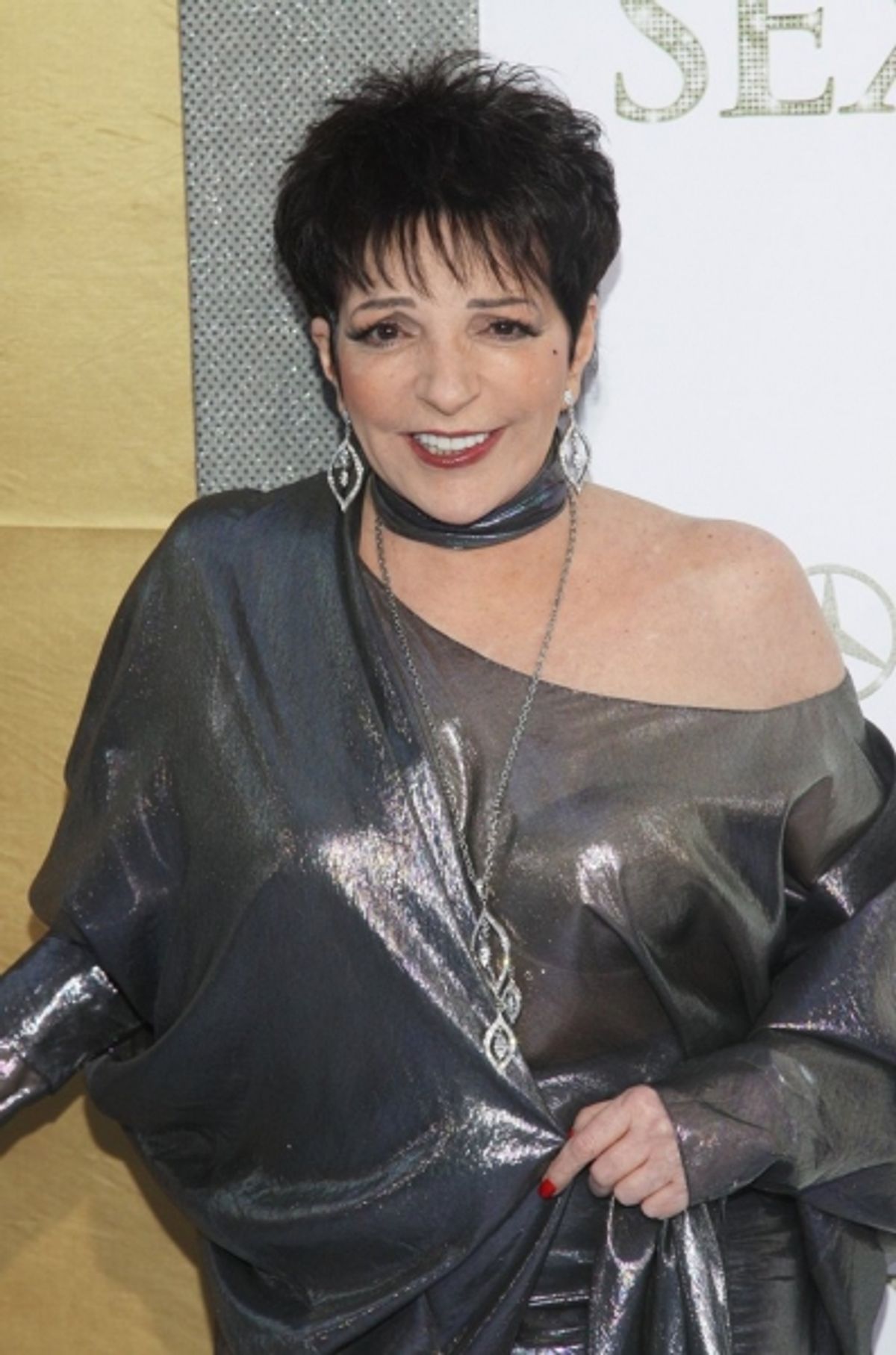  Liza Minnelli   at 