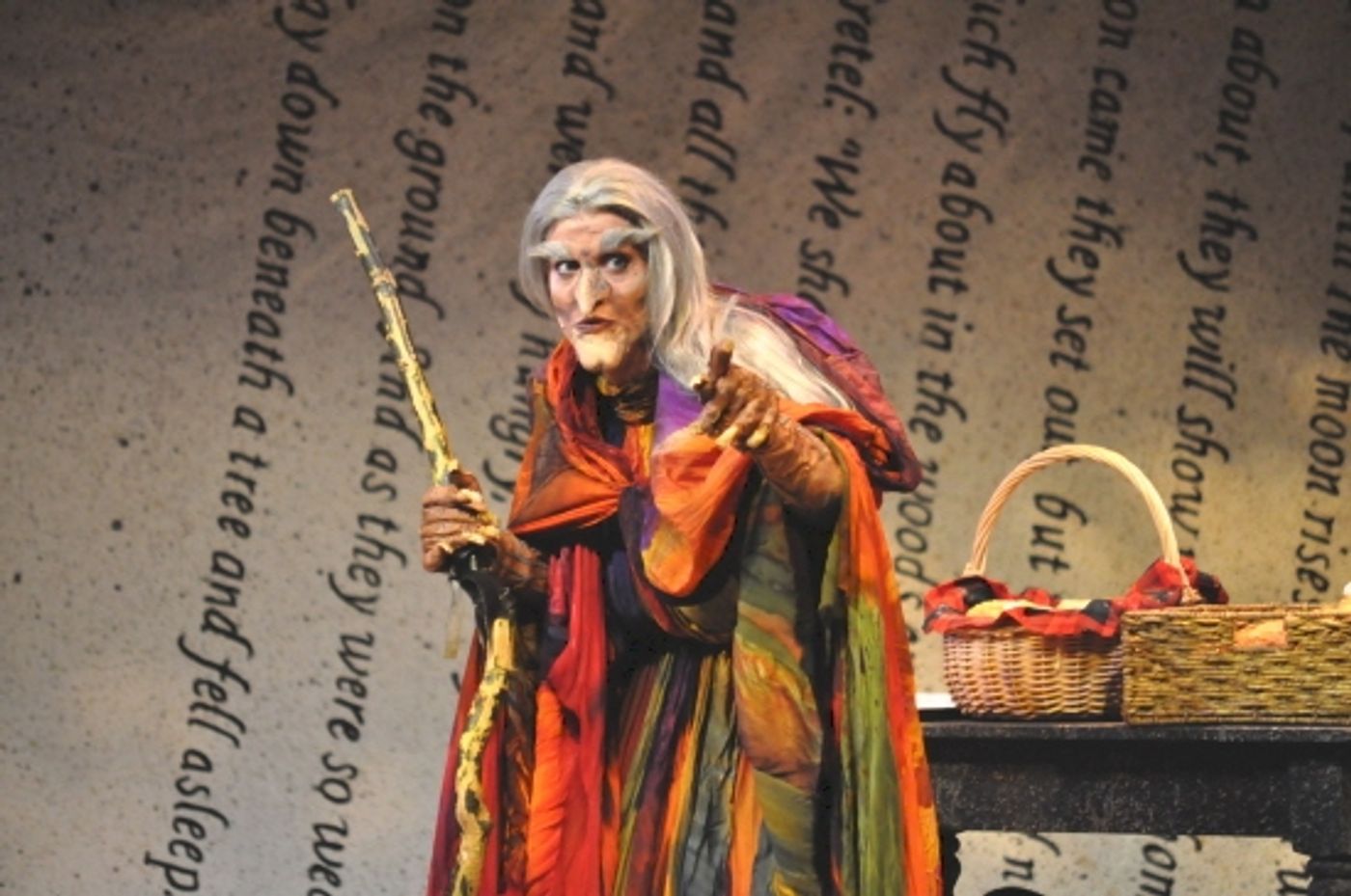 Photo Coverage: Reagle Music Theatre Goes 'Into the Woods' with Rachel York  Image