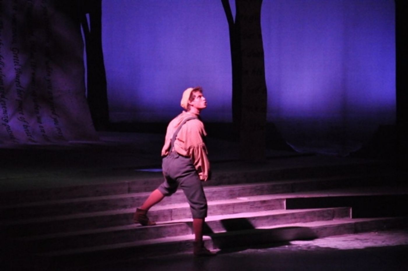 Photo Coverage: Reagle Music Theatre Goes 'Into the Woods' with Rachel York  Image