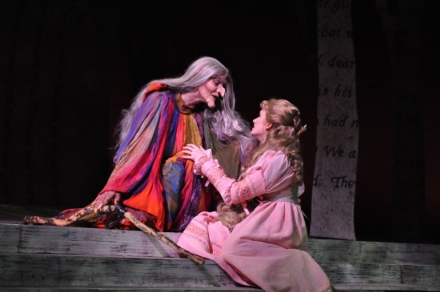 Photo Coverage: Reagle Music Theatre Goes 'Into the Woods' with Rachel York  Image