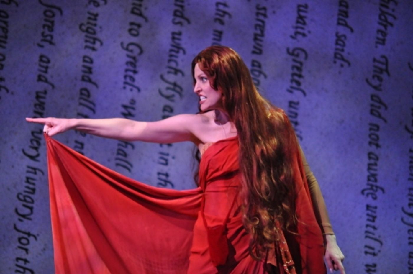 Photo Coverage: Reagle Music Theatre Goes 'Into the Woods' with Rachel York  Image